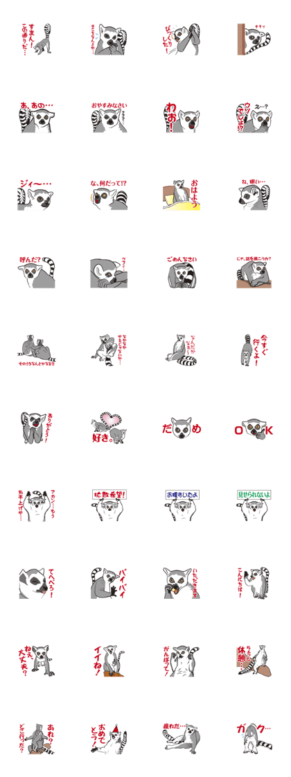 Ring-tailed lemur Ring-tailed lemur