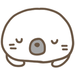 Daily life of my home