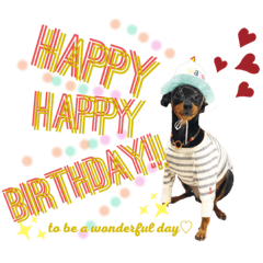 KD-Daily conversation-