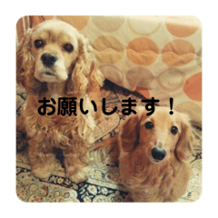 Yuto_20200402160013