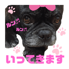 Mimi_20200402182701