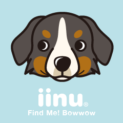 iinu - Bernese Mountain Dog