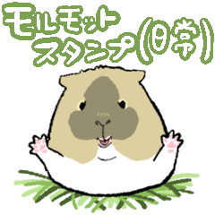 Guineapig Sticker