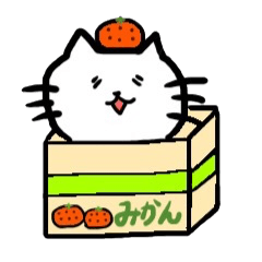 orange and cat
