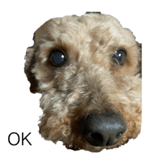 smile_20200330191601