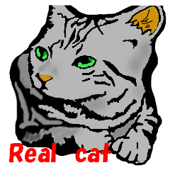 Realistic cat