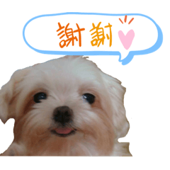 錢錢愛妳