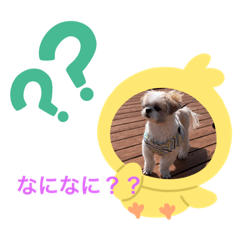 hana_20200403085636