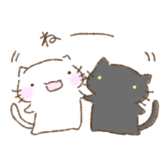 white cat and black cat15