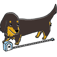 Dachshund sticker