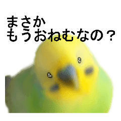 放松鸟天气 Line贴图 Line Store