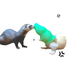 ZUNDA and KINAKO.Ferret Sticker