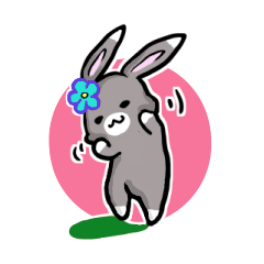 cheeky child rabbit