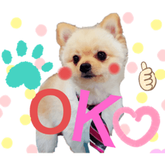 fukuchan1