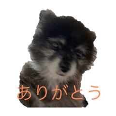 rina_20200403133456