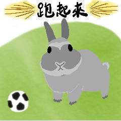 林萌兔的日常生活