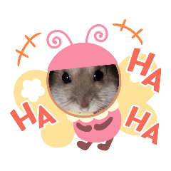 Nozomi_20200403141722