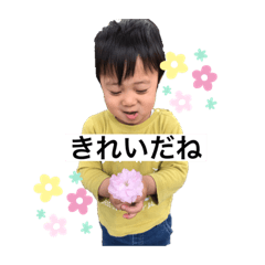 iiokao