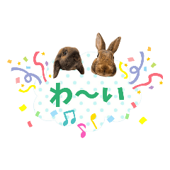 うちの子シリーズ『しのぶさん&無くん』