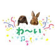 usachan_20200405233948