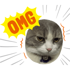 I am numchok and thung ngoen