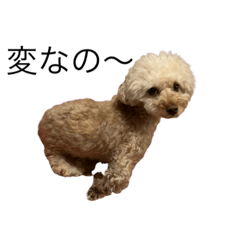 arisa_20200403203641