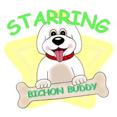 Bichon Buddy