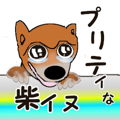 Greetings from pretty Shiba Inu(dog)