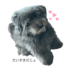 kurumi_20200403203854