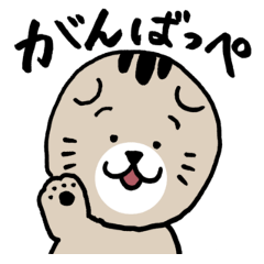Lop-eared cat of Sendai, Miyagi Pref