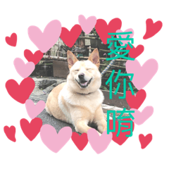 麻糬小王子