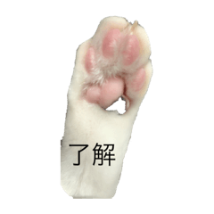 aoi_20200403223923