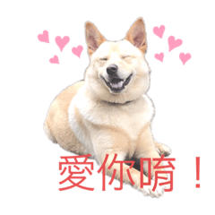 麻糬小王子2