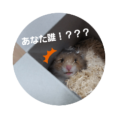 kazumi_20200403235219