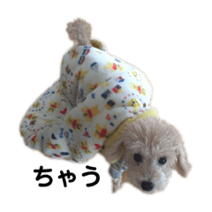 Sayuri_20200404000428