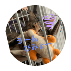 aoi_20180221