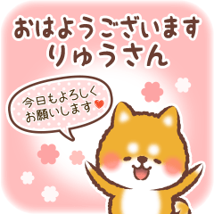 Love Sticker to Ryuu from Shiba 4