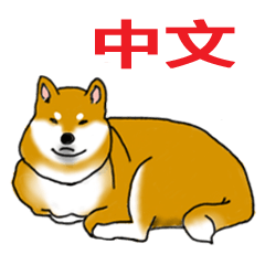 Shiba Inu Expressions in Chinese