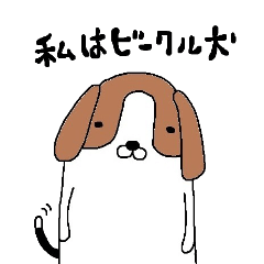 I beagle dog