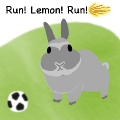 Daily Life of Lemon Rabbit