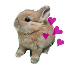 うさぎのみみこちゃん