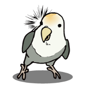 Lovebird.