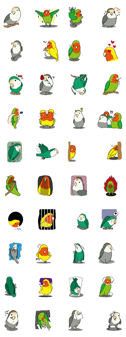 Lovebird.