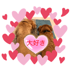 Dog lover kurilatte 3