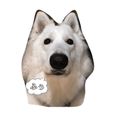 Yamada_20200404032542