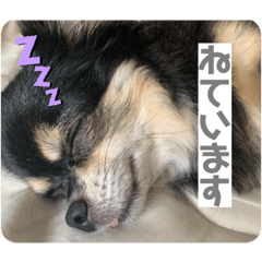 natsumi_20200404090813