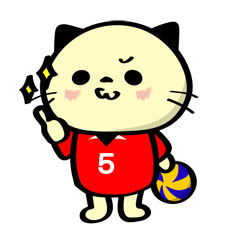 Volleyball cat