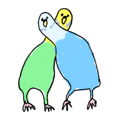 Parakeet Poco-chan and Pico-chan