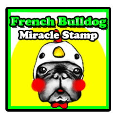 miracle french bulldog sticker!!