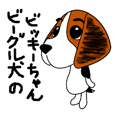 vickie of the beagle